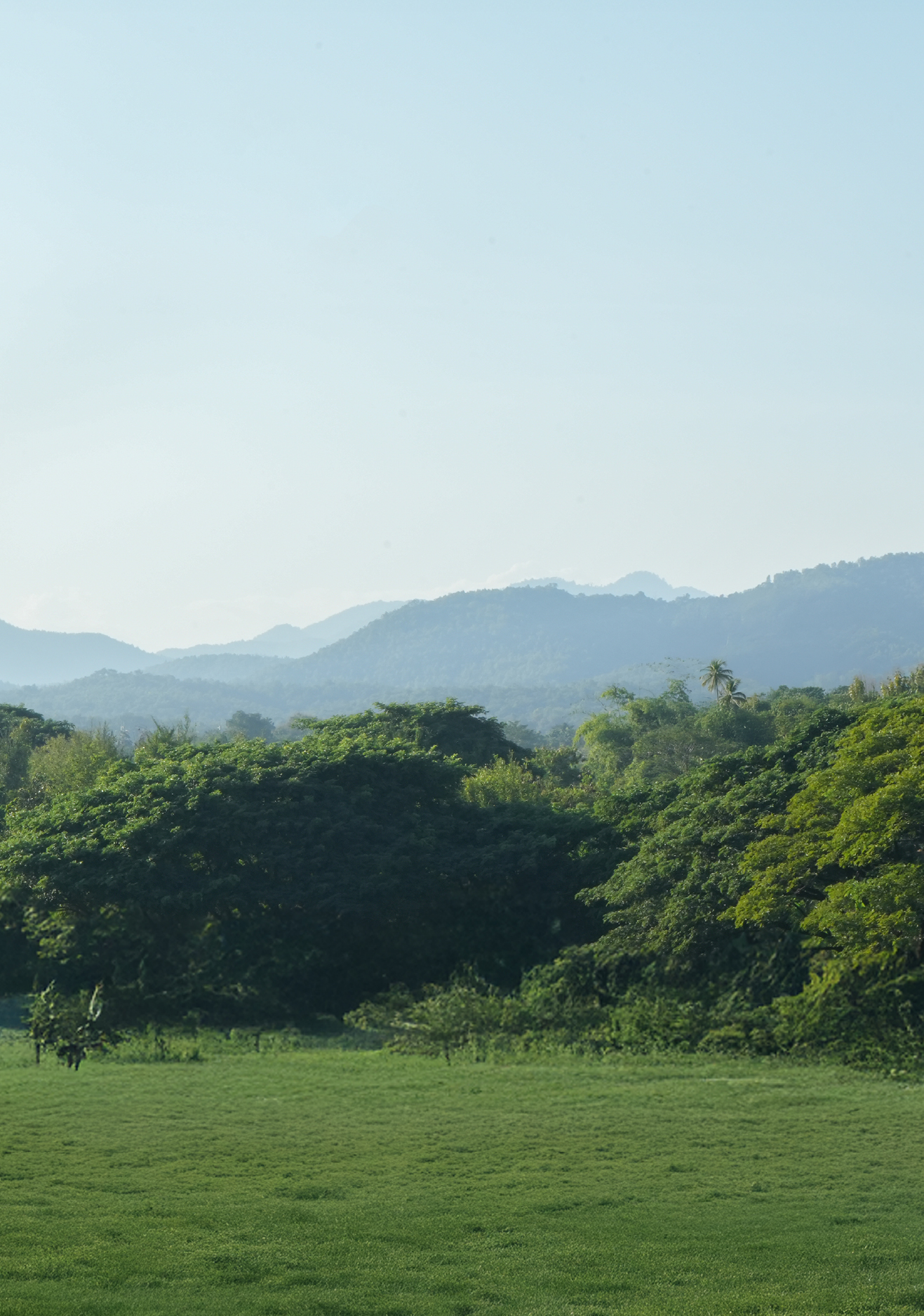 Swiper Carousel Image