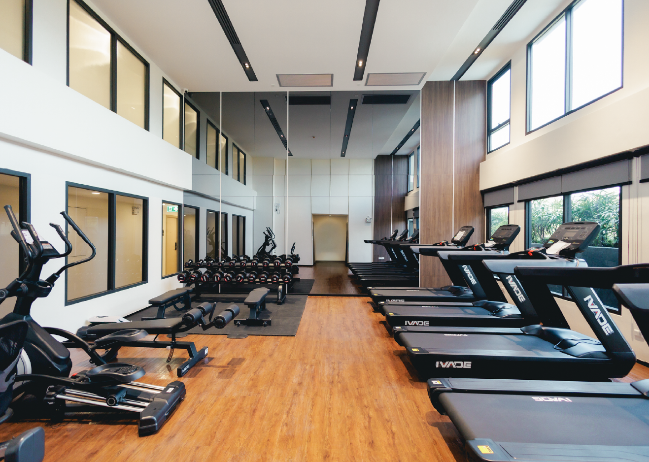 Swiper Carousel Image