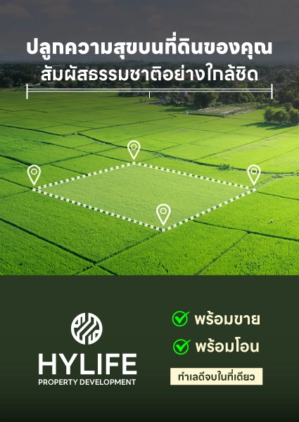 Swiper Carousel Image