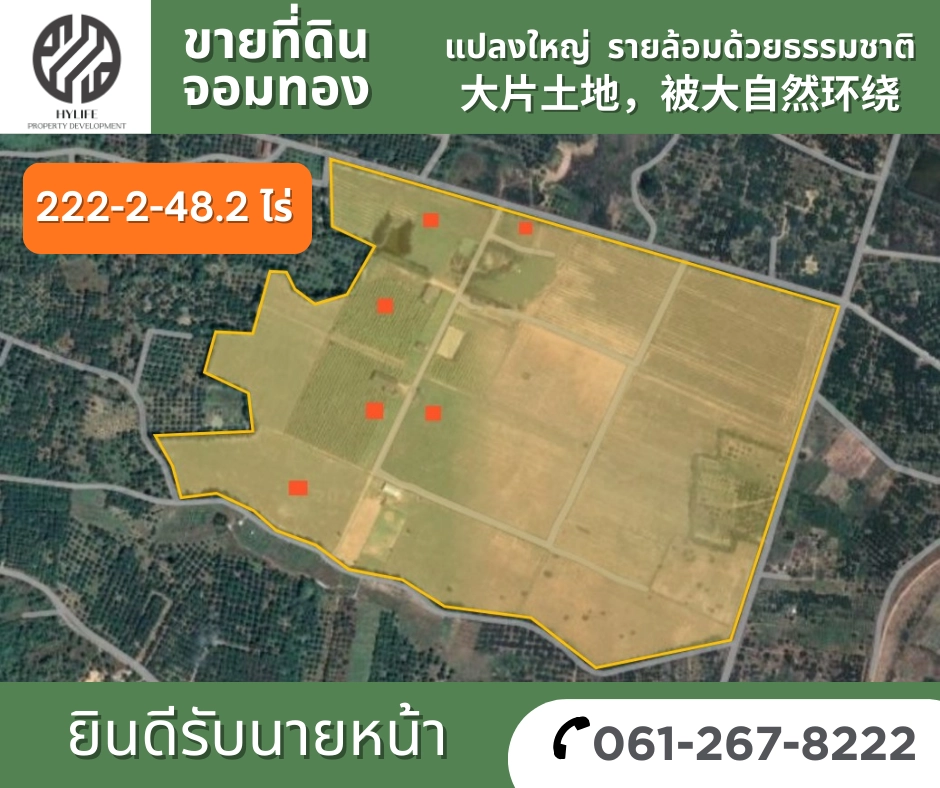 Swiper Carousel Image